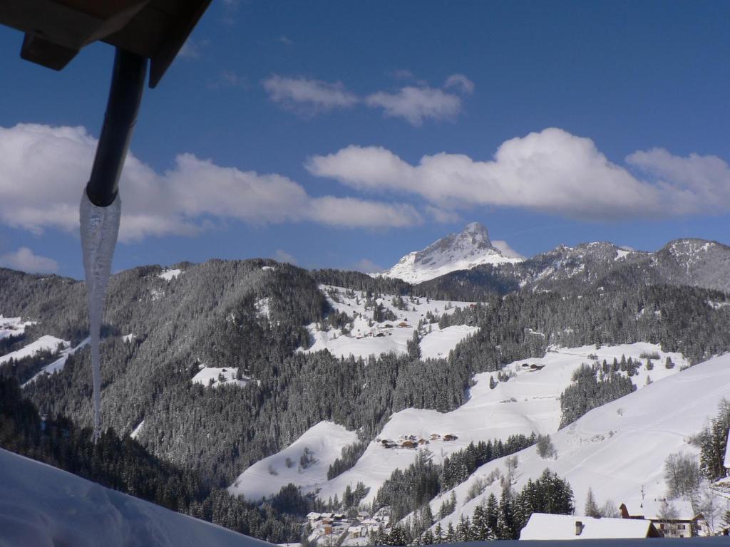 Hotel Alpenrose Dolomites لا فالي الغرفة الصورة