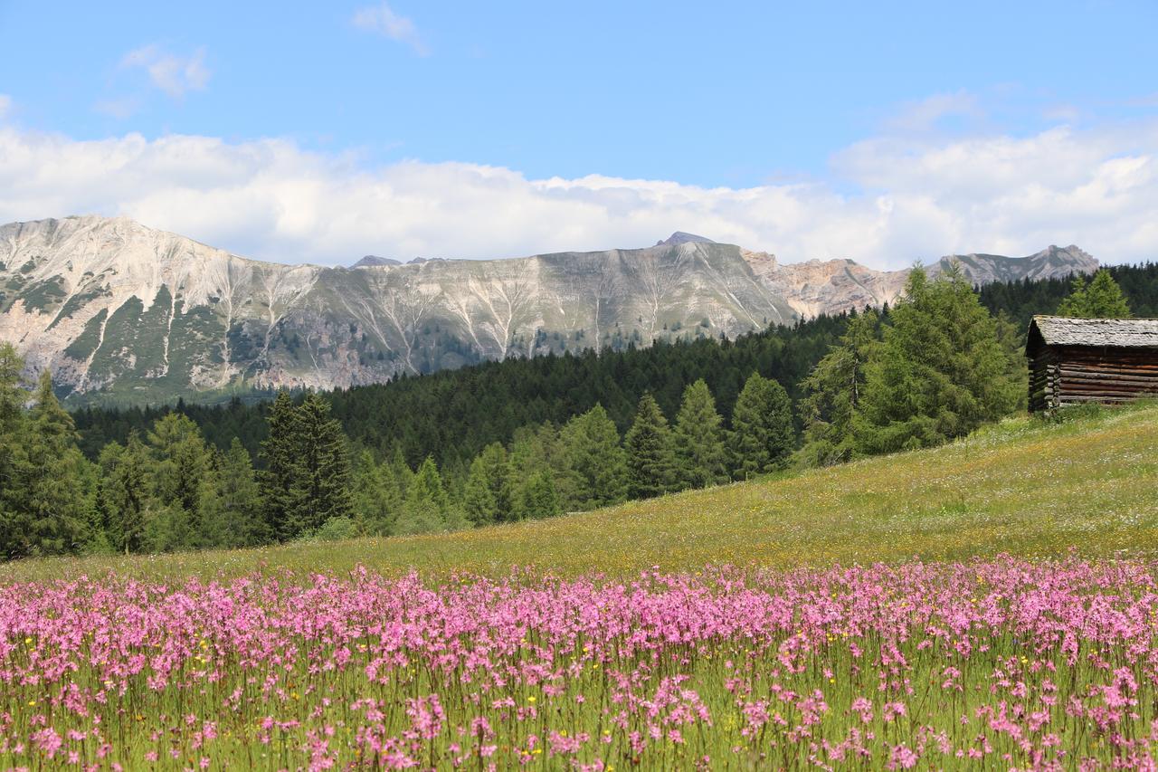 Hotel Alpenrose Dolomites لا فالي المظهر الخارجي الصورة