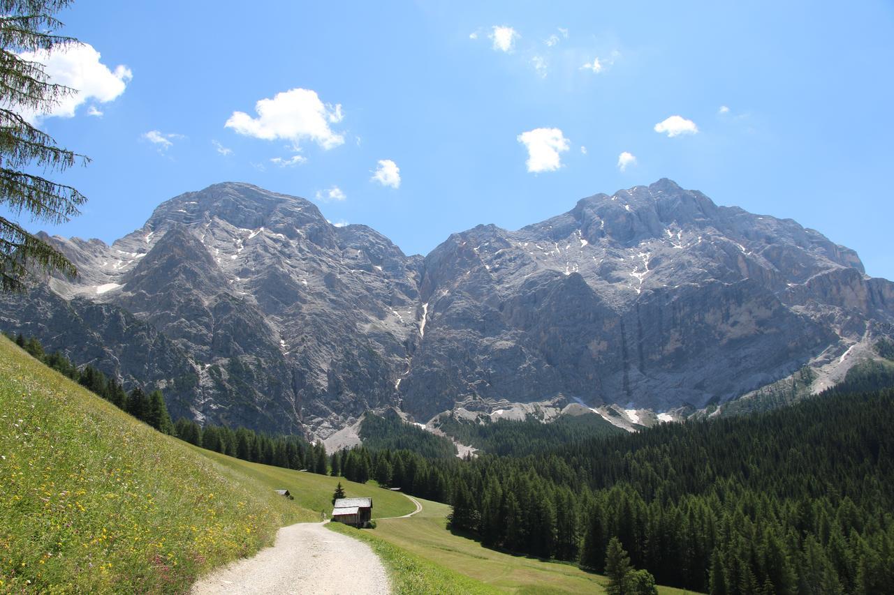 Hotel Alpenrose Dolomites لا فالي المظهر الخارجي الصورة